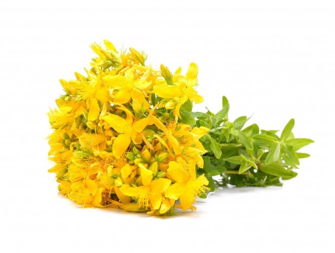 Экстракт Зверобоя сухой  