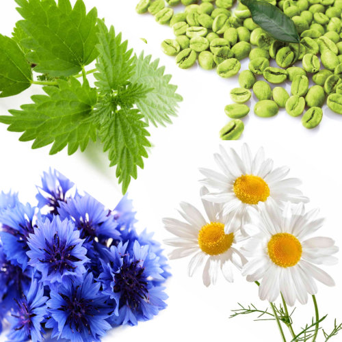 Купаж №63 СО2 экстракт для снятия отечности (водорастворимый)